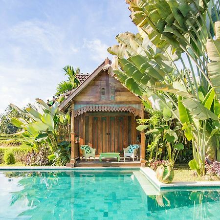 Hati Padi Cottages Ubud Esterno foto