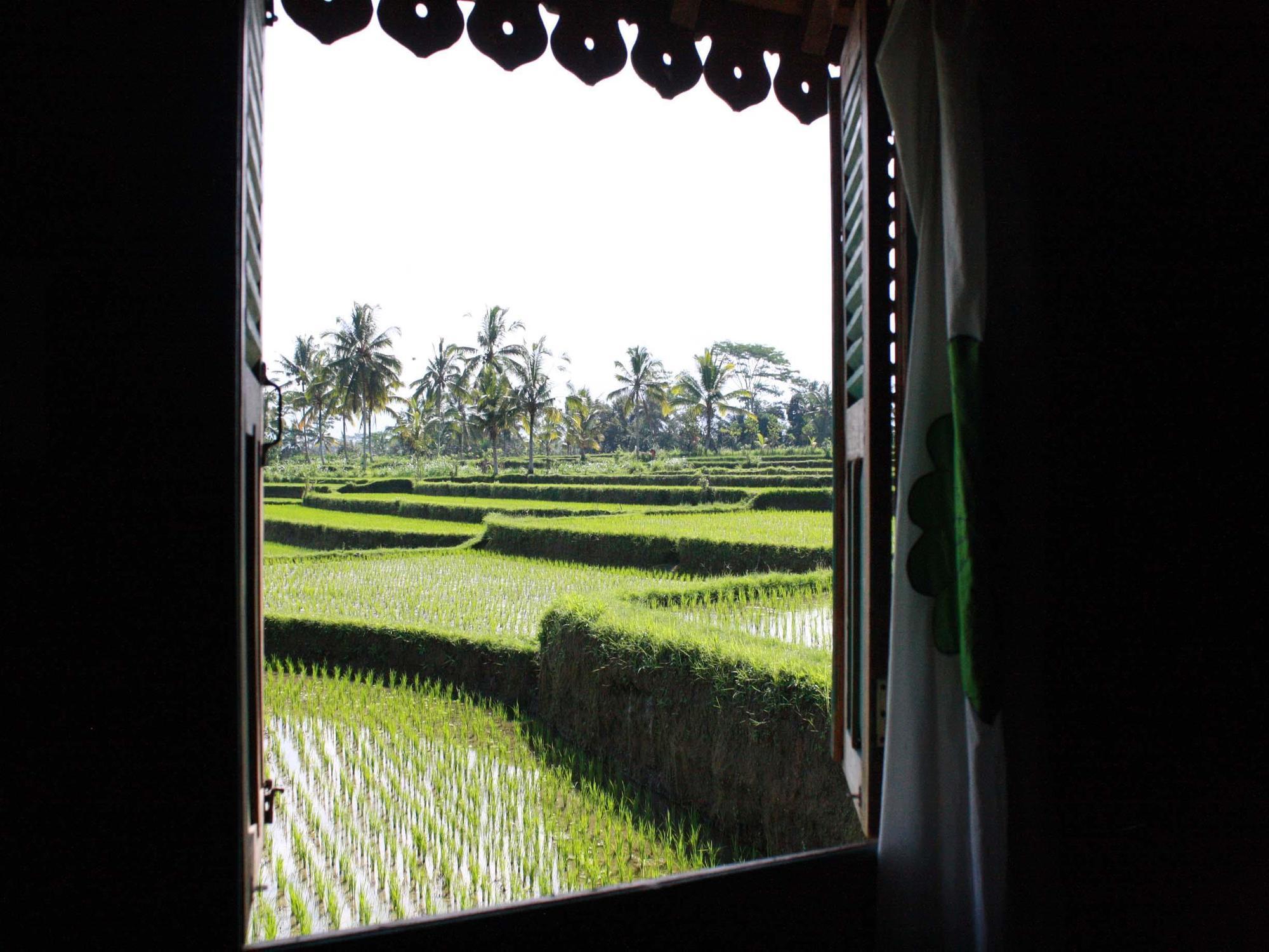 Hati Padi Cottages Ubud Esterno foto