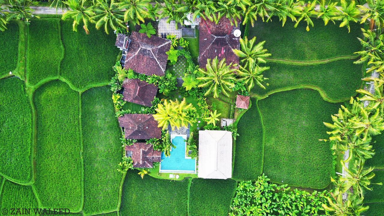 Hati Padi Cottages Ubud Esterno foto