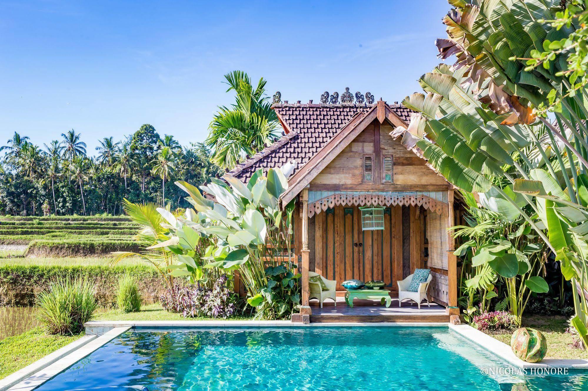 Hati Padi Cottages Ubud Esterno foto