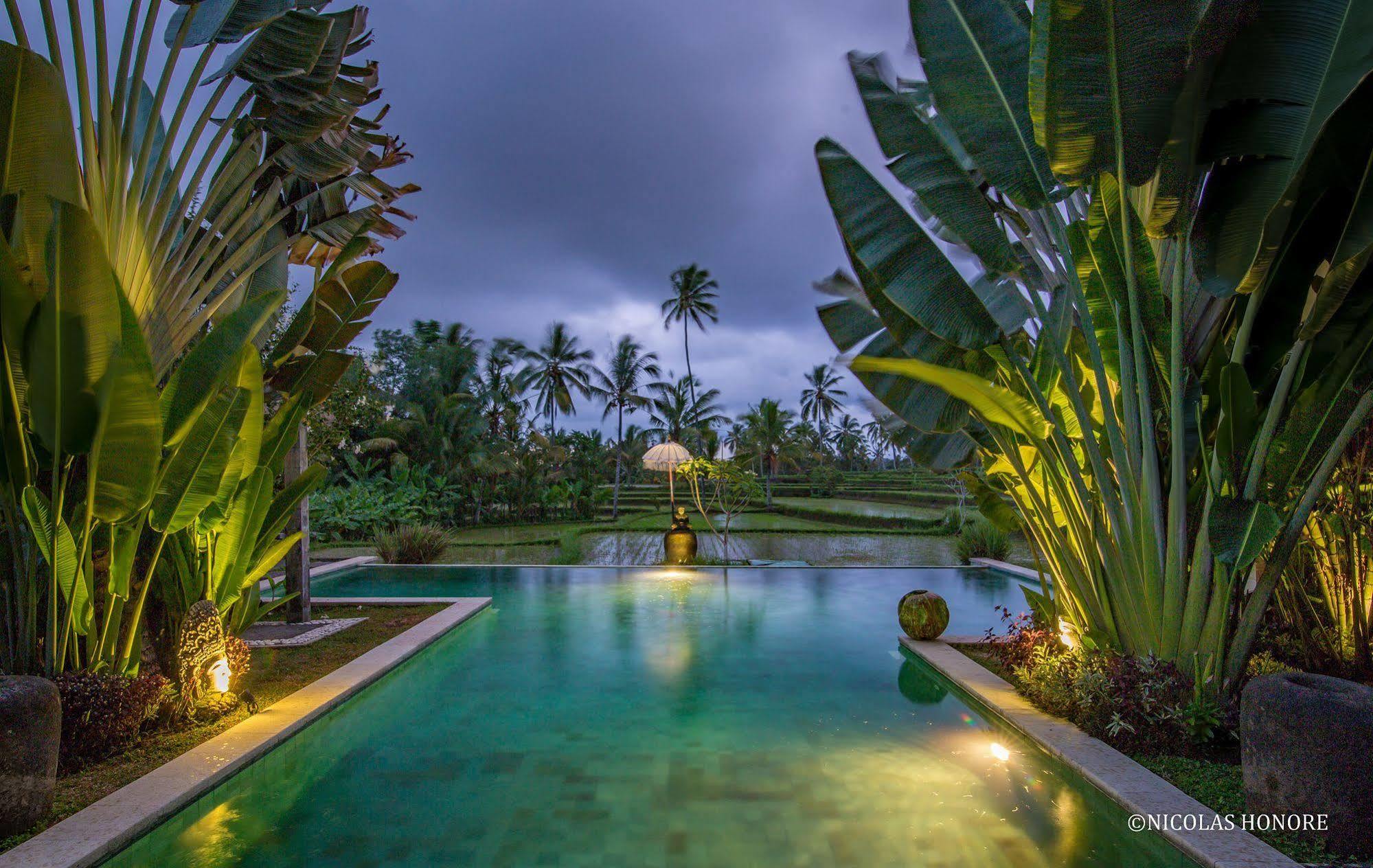 Hati Padi Cottages Ubud Esterno foto