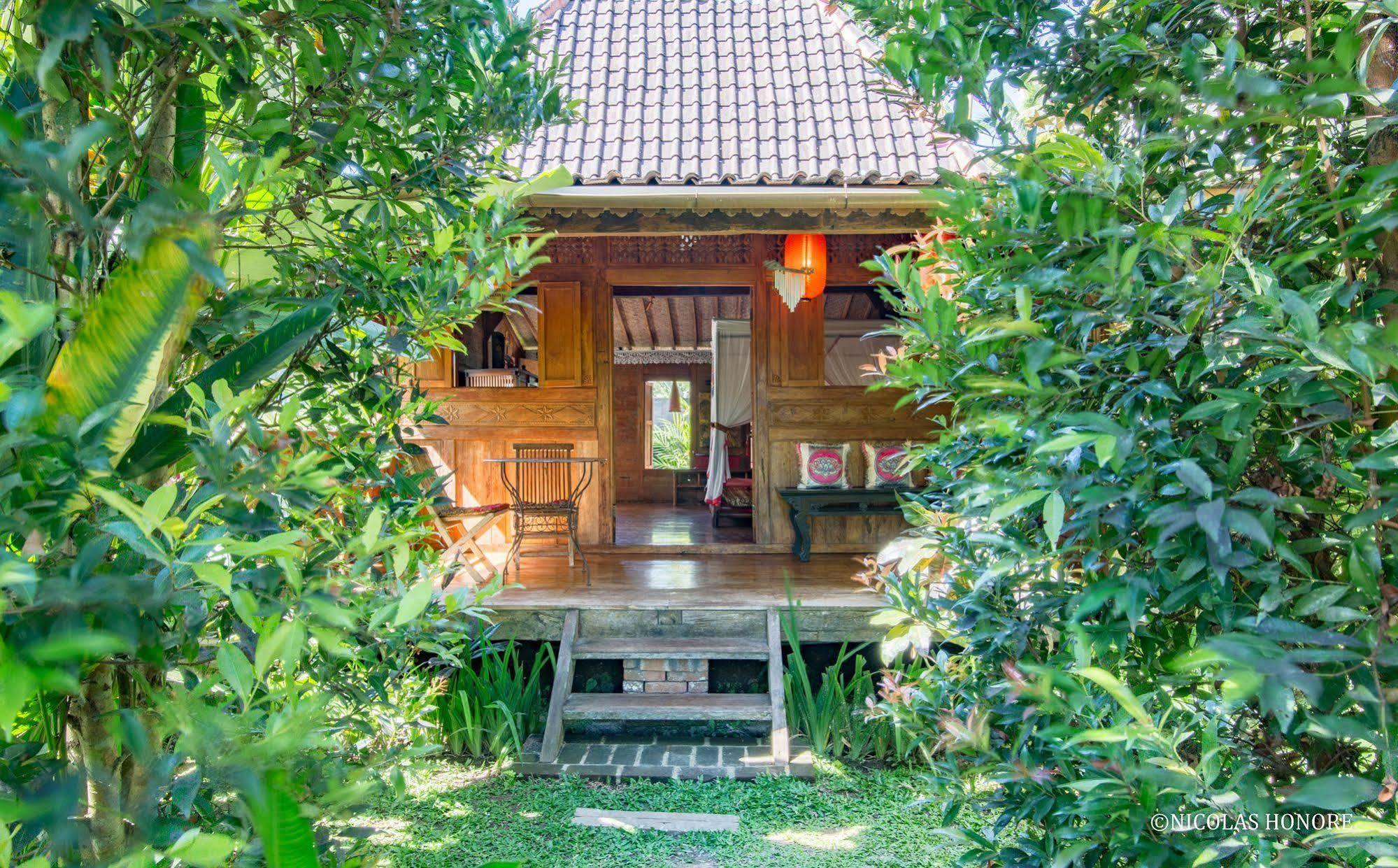 Hati Padi Cottages Ubud Esterno foto