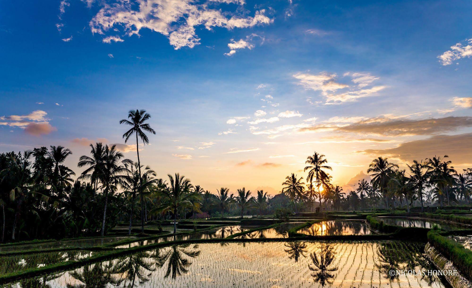 Hati Padi Cottages Ubud Esterno foto