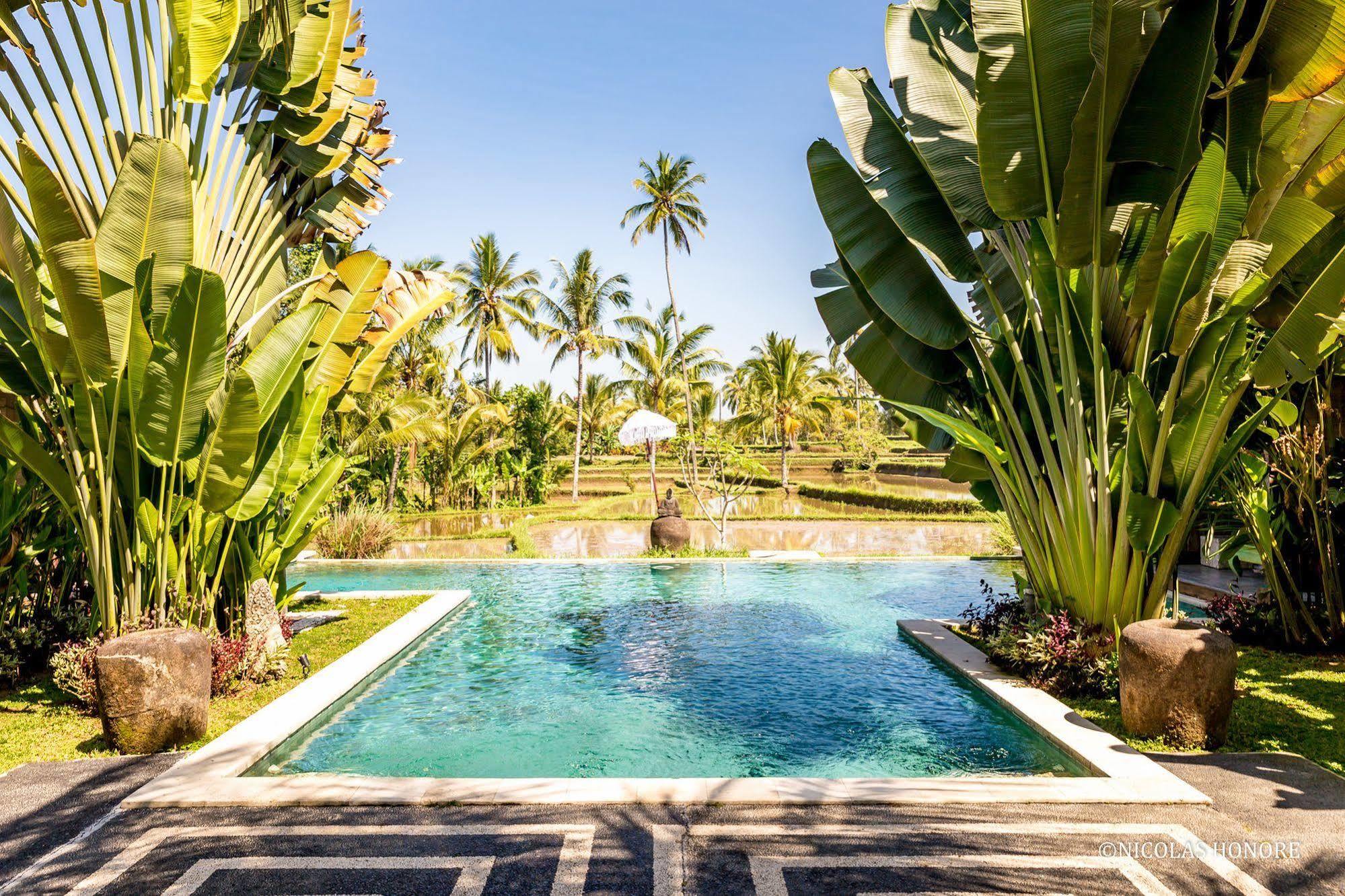 Hati Padi Cottages Ubud Esterno foto